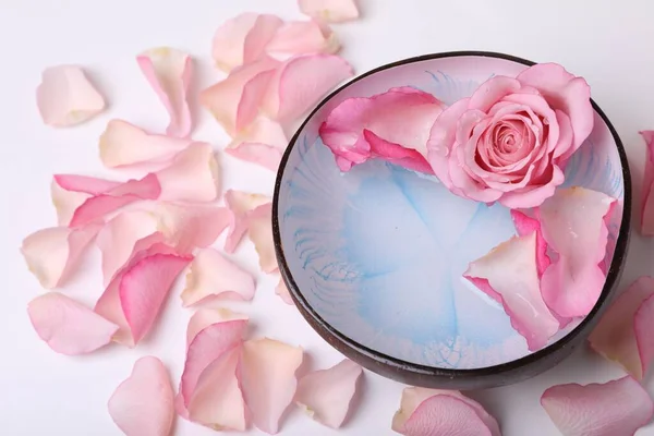 stock image Bowl with water and rose petals on white background, closeup. Spa composition