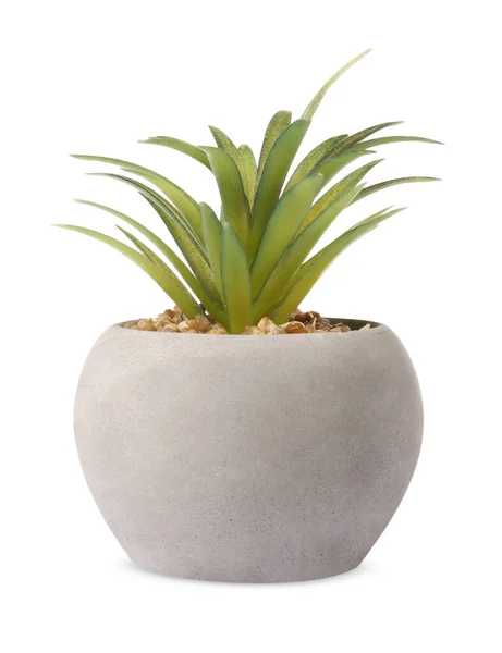Bela Planta Artificial Vaso Flores Fundo Branco — Fotografia de Stock
