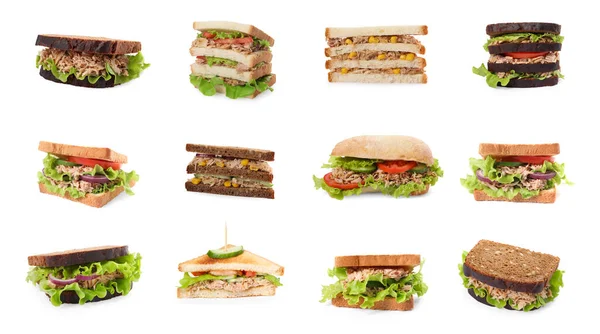 Collage Van Verschillende Heerlijke Broodjes Met Tonijn Witte Achtergrond — Stockfoto