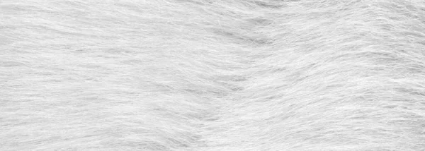 Λευκή Ψεύτικη Γούνα Φόντο Κοντινό Πλάνο Σχεδιασμός Banner — Φωτογραφία Αρχείου