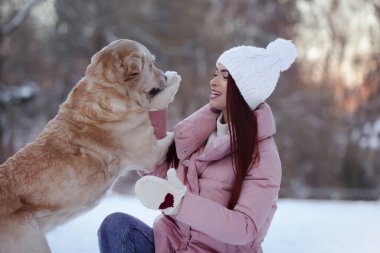 Kış günü dışarıda Labrador Retriever ile güzel genç bir kadın.