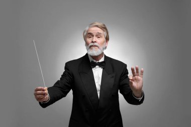 Gri arka planda batonu olan profesyonel iletken