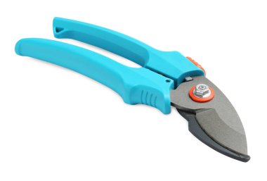 Açık mavi saplı Secateurs beyaz üzerinde izole. Bahçe aleti