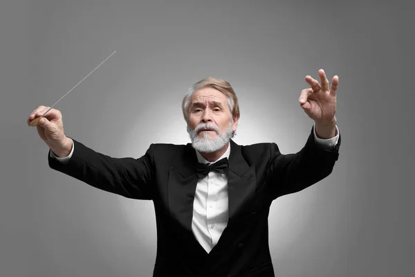 stock image Professional conductor with baton on grey background