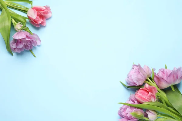 Hermosas Flores Tulipán Colores Sobre Fondo Azul Claro Vista Superior — Foto de Stock