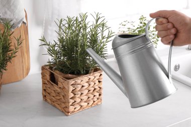 Beyaz tezgahta biberiyeyi sulayan adam, yakın plan.