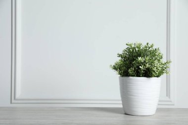 Aromatik yeşil kekik beyaz duvarın yanındaki ahşap masada, metin için yer var.