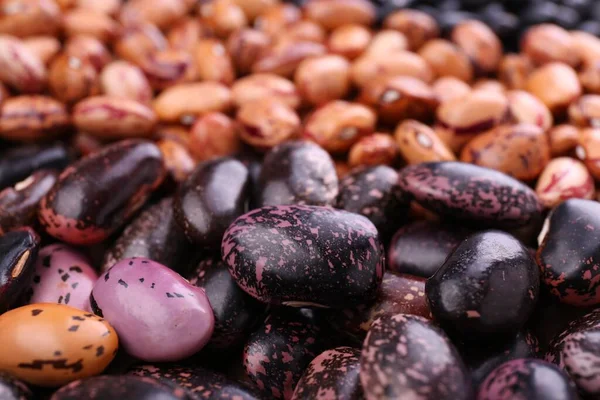 豆の異なる種類の背景として クローズアップ — ストック写真