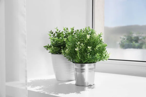 Tumbuhan Herbal Buatan Pada Hari Yang Cerah Pada Jendela Dalam — Stok Foto