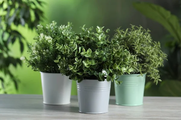 Verschiedene Aromatische Topfpflanzen Auf Weißem Holztisch Freien — Stockfoto