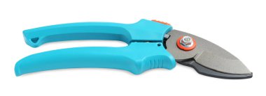 Açık mavi saplı Secateurs beyaz üzerinde izole. Bahçe aleti