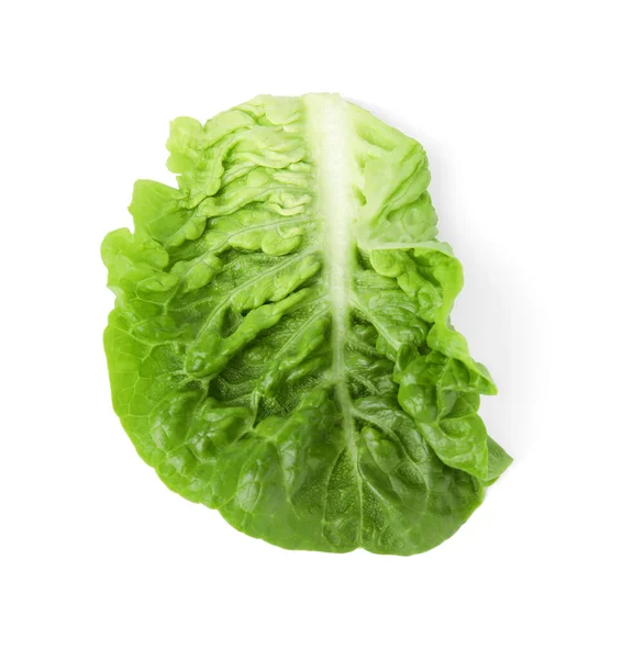 Frisches Blatt Von Grünem Römersalat Isoliert Auf Weißem Von Oben — Stockfoto