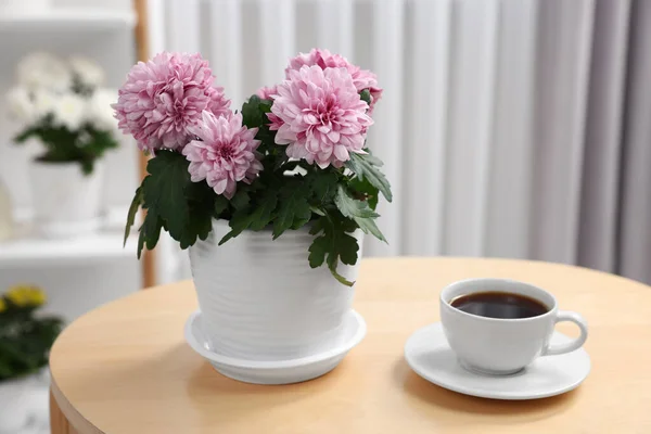 Schöne Chrysanthemenpflanze Blumentopf Und Kaffeetasse Auf Holztisch Drinnen — Stockfoto