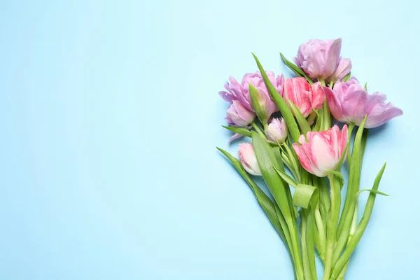 Beautiful colorful tulip flowers on light blue background, top view. Space for text