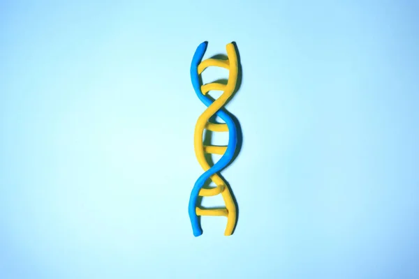 Dna Molecule Model Made Colorful Plasticine Light Blue Background Top — Stock Photo, Image