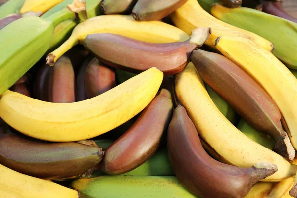 Different Types Bananas Background Top View — Fotografia de Stock