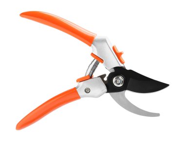 Turuncu saplı Secateurs beyaz, üst manzara izole. Bahçe aleti