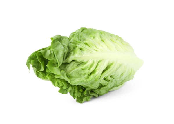 在白菜上分离出新鲜的绿色莴苣 — 图库照片