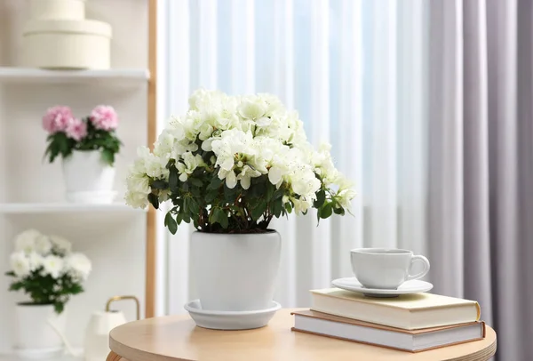 Schöne Azaleen Pflanze Blumentopf Tasse Kaffee Und Bücher Auf Holztisch — Stockfoto