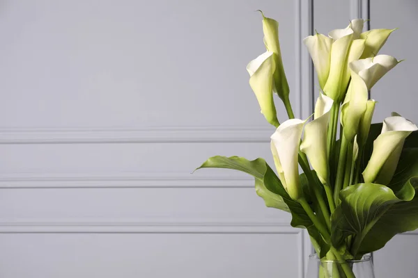 Schöne Calla Lilienblüten Der Vase Auf Hellem Hintergrund Platz Für — Stockfoto