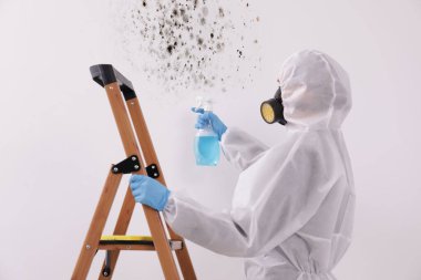 Koruyucu takım elbiseli ve lastik eldivenli bir kadın duvarda küf çıkarıcı kullanıyor.