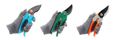 Beyaz arka planda farklı renk ayırıcıları tutan adamların fotoğraflarıyla kolaj, yakın plan. Bahçe aleti