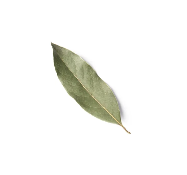 Beyaz Arka Planda Bir Aromatik Defne Yaprağı Üst Görünüm — Stok fotoğraf