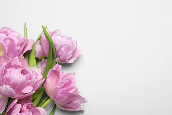 Красивые Красочные Цветы Тюльпан Белом Фоне Вид Сверху Пространство Текста — стоковое фото
