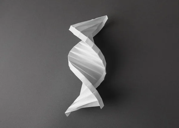 Paper Model Dna Molecular Chain Black Background Top View — Stock Photo, Image