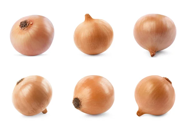 Collage Fresh Unpeeled Onion Bulbs White Background — Stock Photo, Image