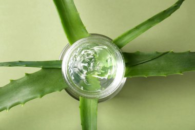 Zeytin zemininde Aloe yaprakları ve kozmetik jel, yassı