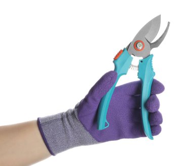 Beyaz arka planda açık mavi saplı tarikat görevlileri tutan işçi, yakın plan. Bahçe aleti