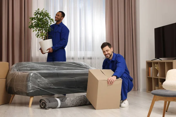 带纸板箱的男性搬运工 在新房子里种树 — 图库照片