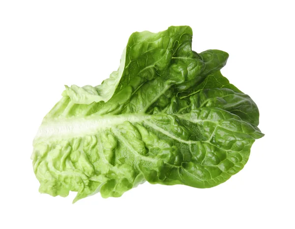 stock image Fresh leaf of green romaine lettuce isolated on white