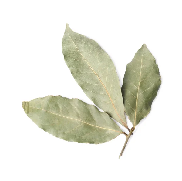 Sprig Aromatic Bay Leaves White Background Top View — Stock Photo, Image