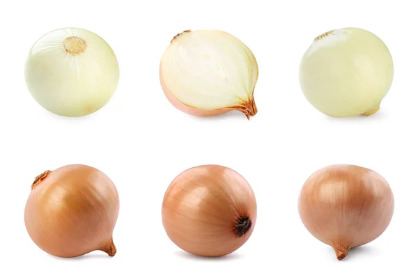 Collage Mit Frischen Zwiebelzwiebeln Auf Weißem Hintergrund — Stockfoto