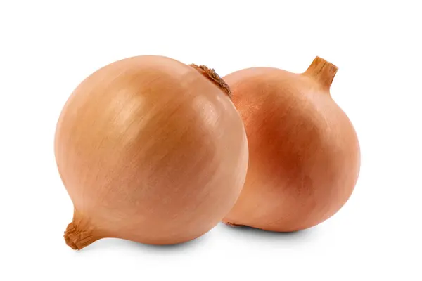 Two Whole Fresh Onion Bulbs Isolated White — Stock Photo, Image