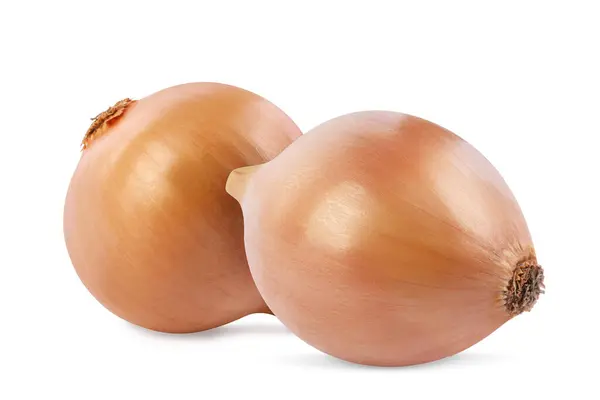 Two Whole Fresh Onion Bulbs Isolated White Stock Picture