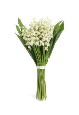 Beyaz arka planda vadi çiçeğinin güzel zambağı