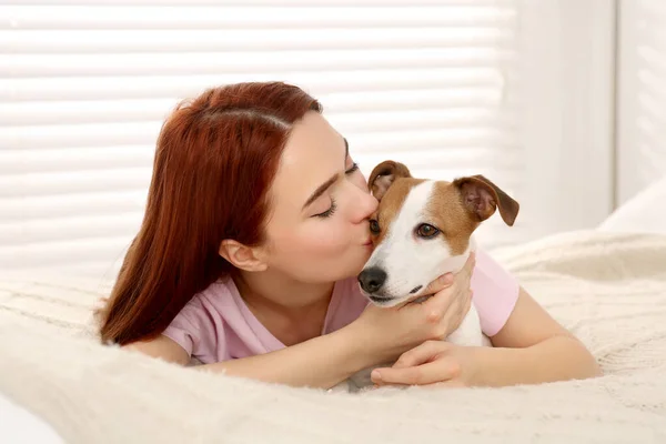 Evde Yatakta Tatlı Jack Russell Terrier Köpeğini Öpen Bir Kadın — Stok fotoğraf