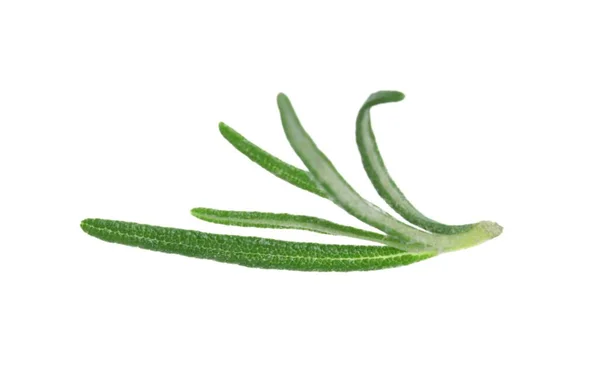 Aromatisk Färsk Grön Rosmarin Isolerad Vit — Stockfoto