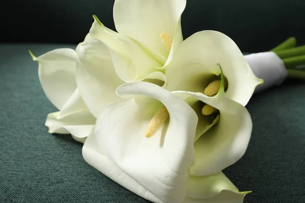 Beautiful calla lily flowers on sofa, closeup