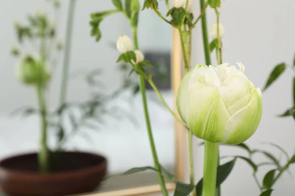 Schöne Weiße Blumen Vor Verschwommenem Hintergrund Nahaufnahme Raum Für Text — Stockfoto