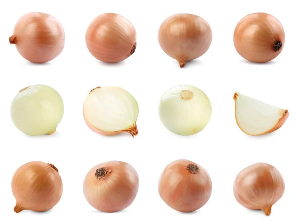 Collage Fresh Onions White Background — Stock Photo, Image