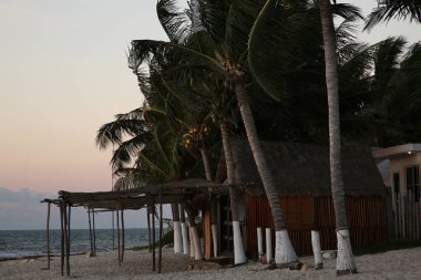 Picturesque view of tropical palms under sky lit by beautiful sunset