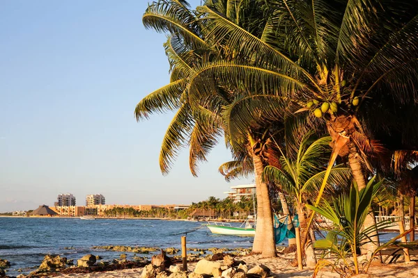 stock image Picturesque view of sea coast and palm trees on sunny day