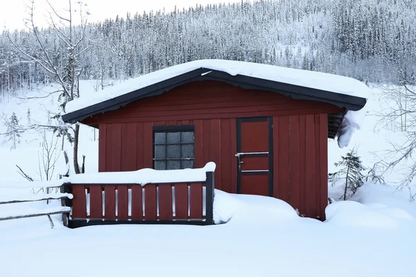 Winter Landscape Wooden House Trees Bushes Snowy Day — Foto de Stock