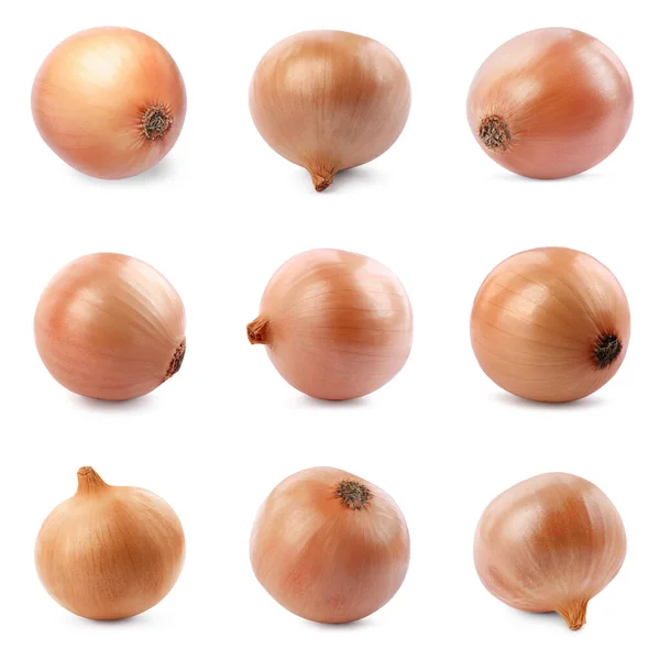 Collage Fresh Unpeeled Onion Bulbs White Background — Stock Photo, Image
