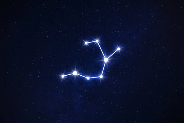 Constelación Sagitario Archer Figura Patrón Palo Cielo Estrellado Noche — Foto de Stock