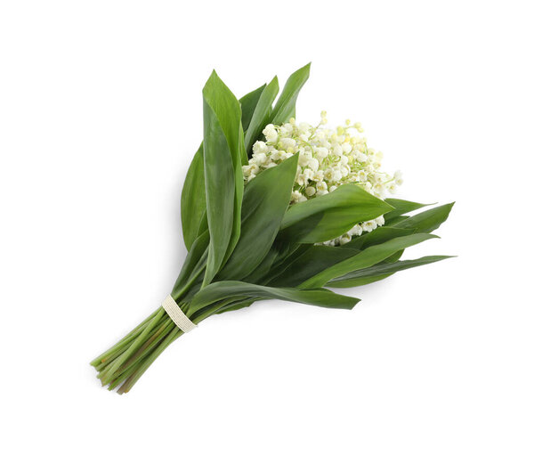 Beautiful lily of the valley bouquet on white background, top view